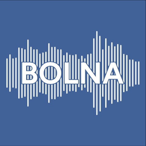 Bolna Agent Studio