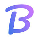 Brandfetch MCP