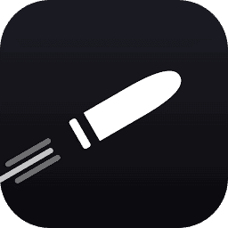 Bullet