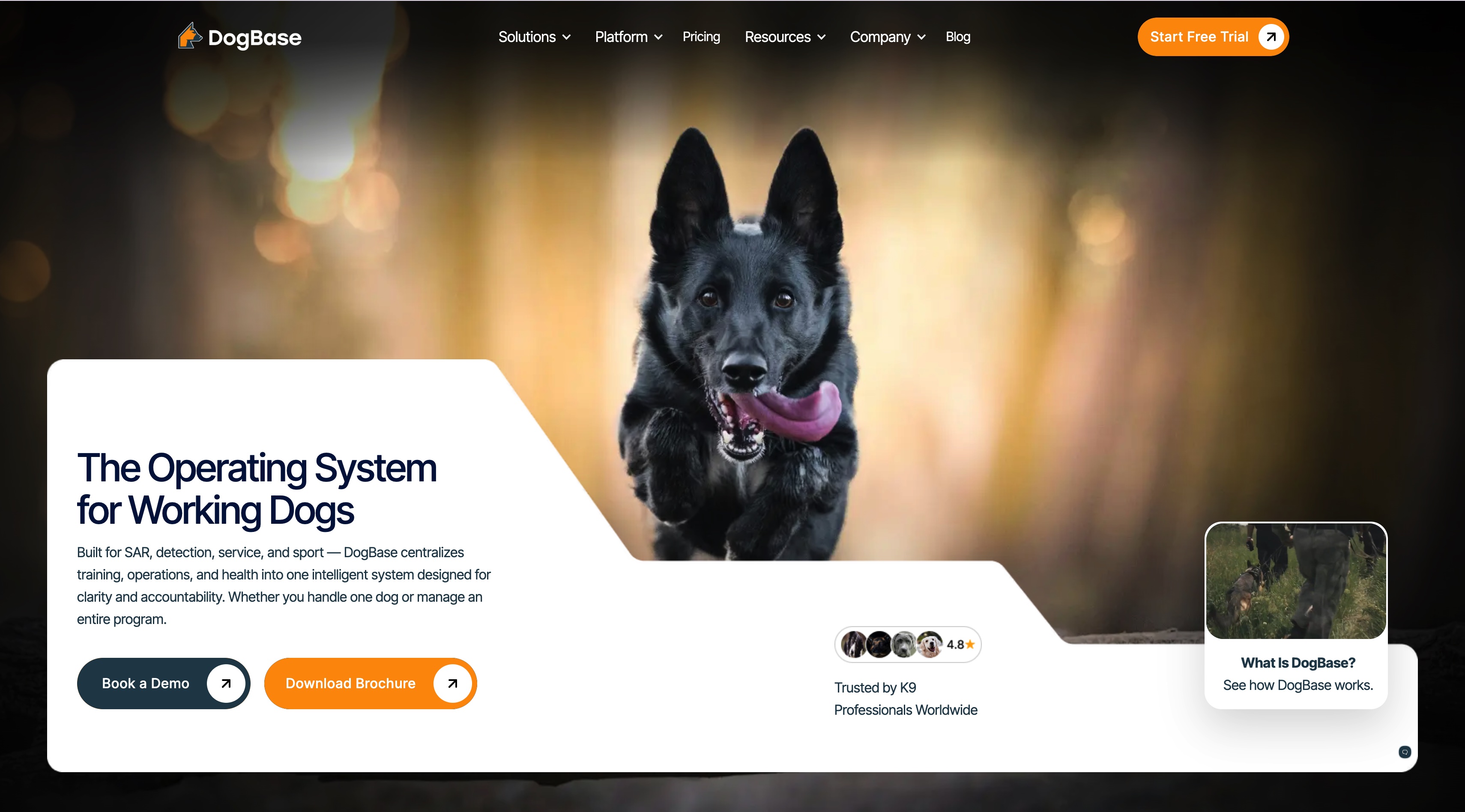 DogBase homepage screenshot