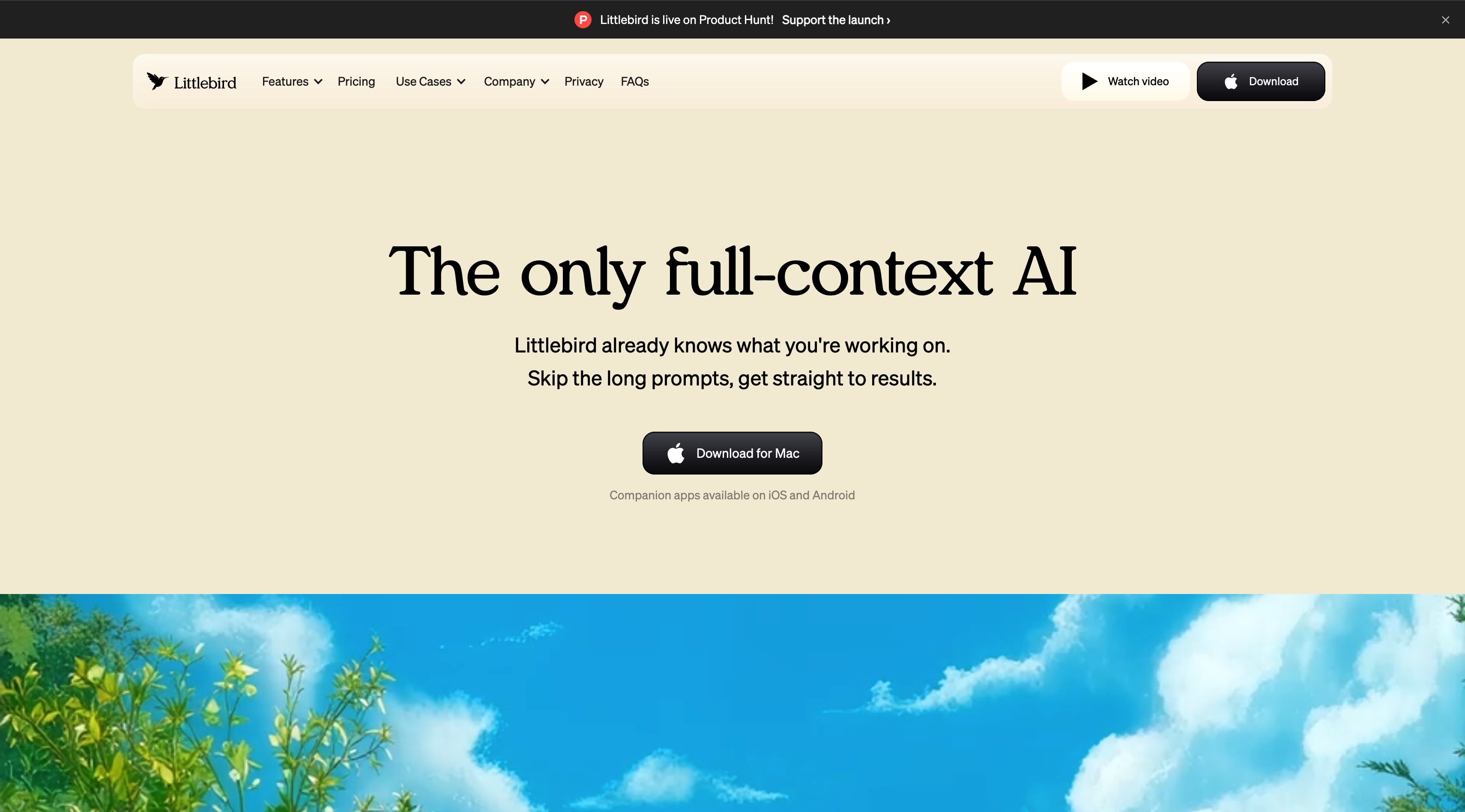 Littlebird homepage screenshot