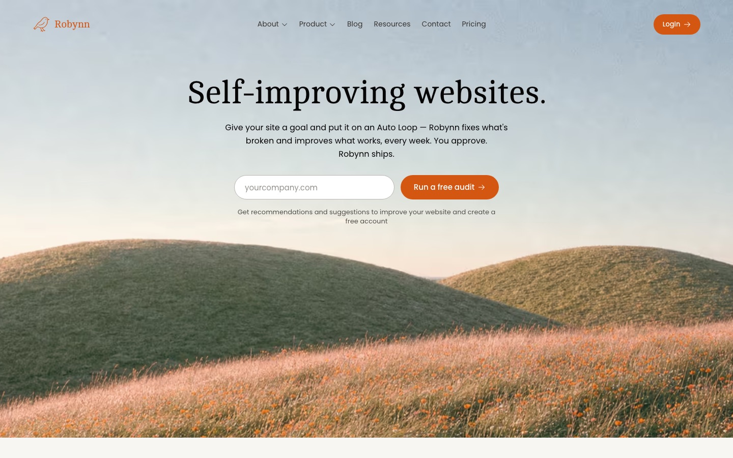 Robynn AI homepage screenshot